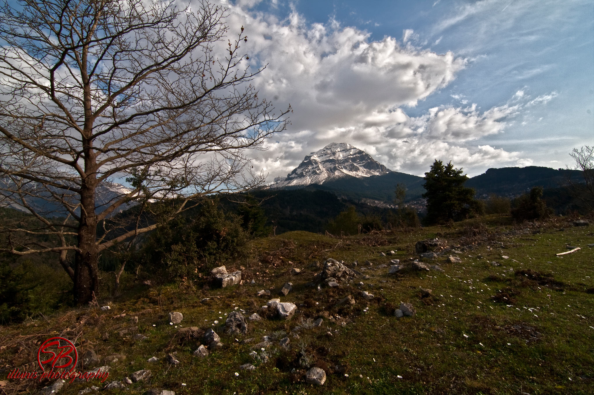 IMG 7021