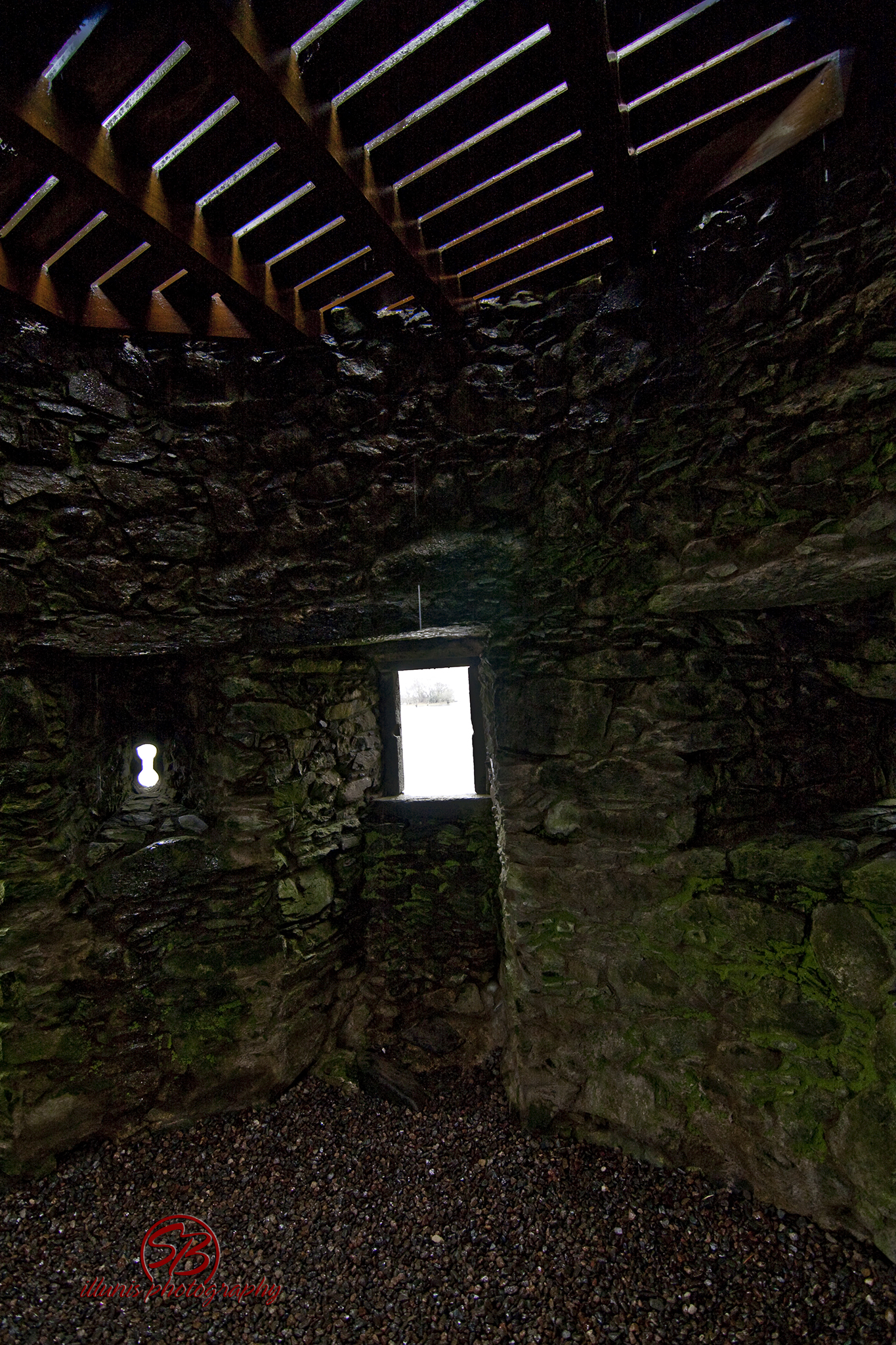 IMG 3500