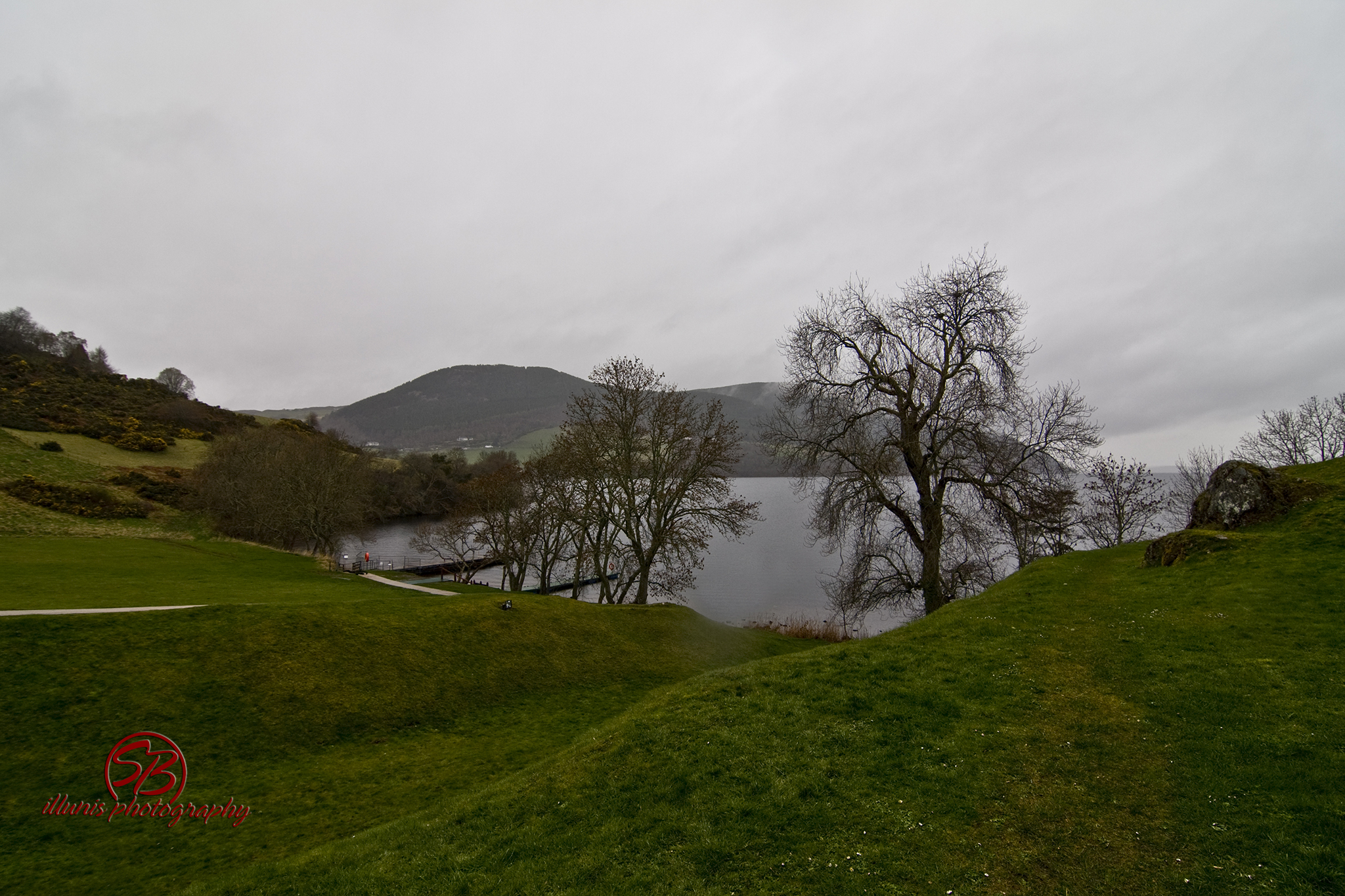 IMG 3172