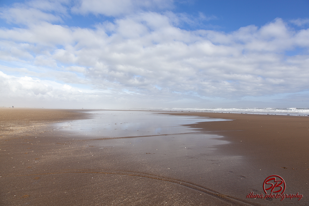 Tentsmuir
