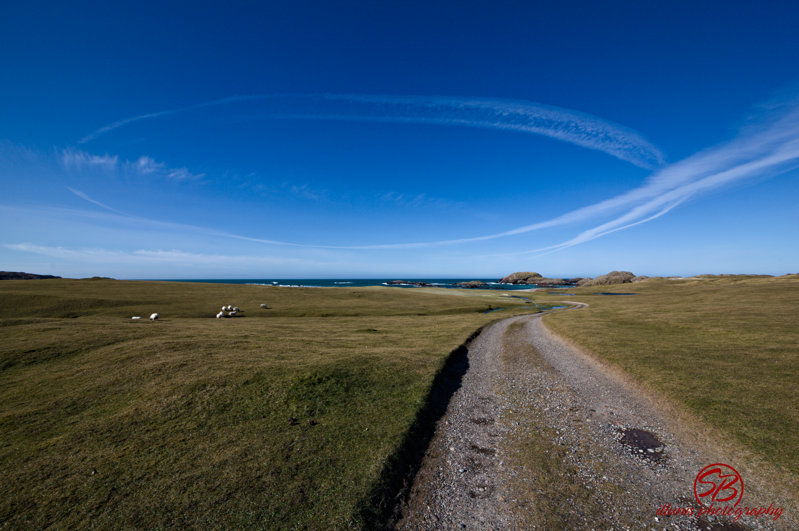 Isle of Iona