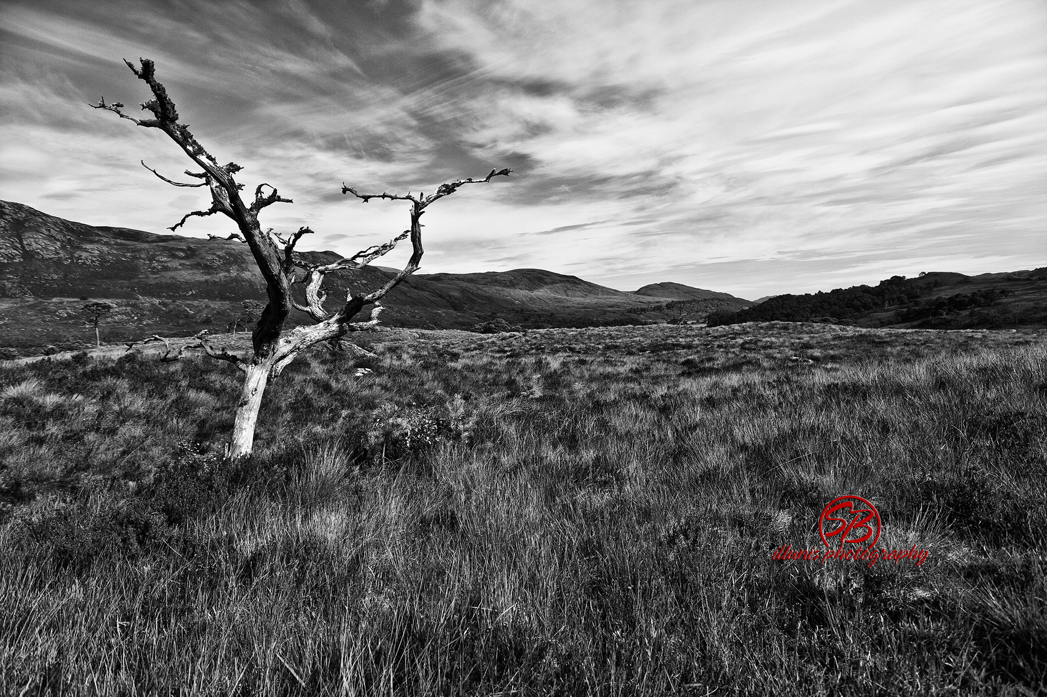 Scotland