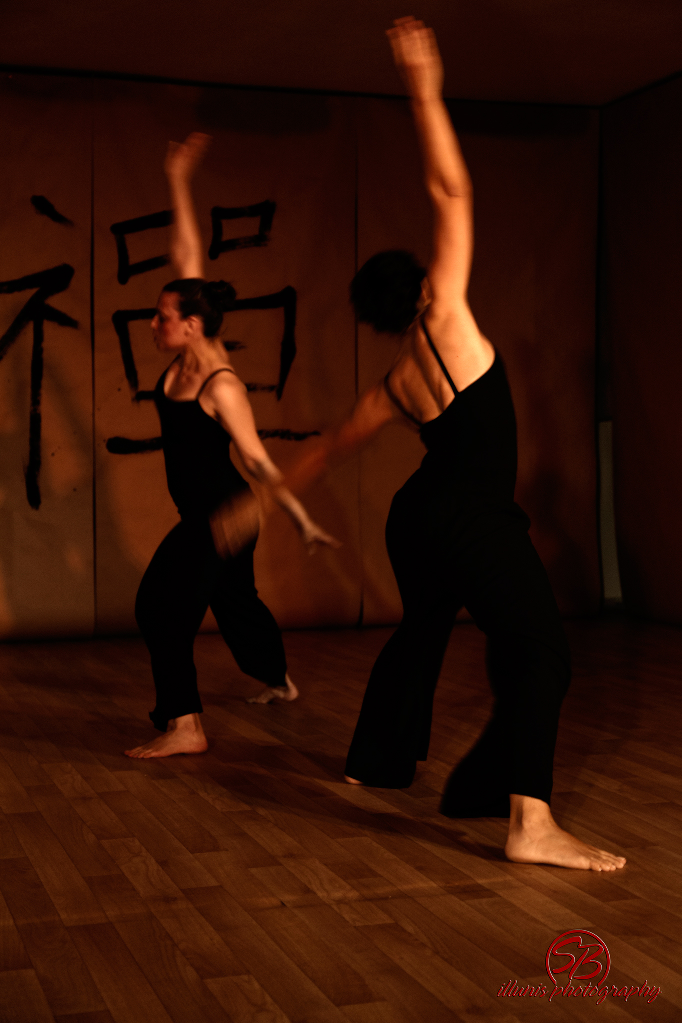 IMG 7982