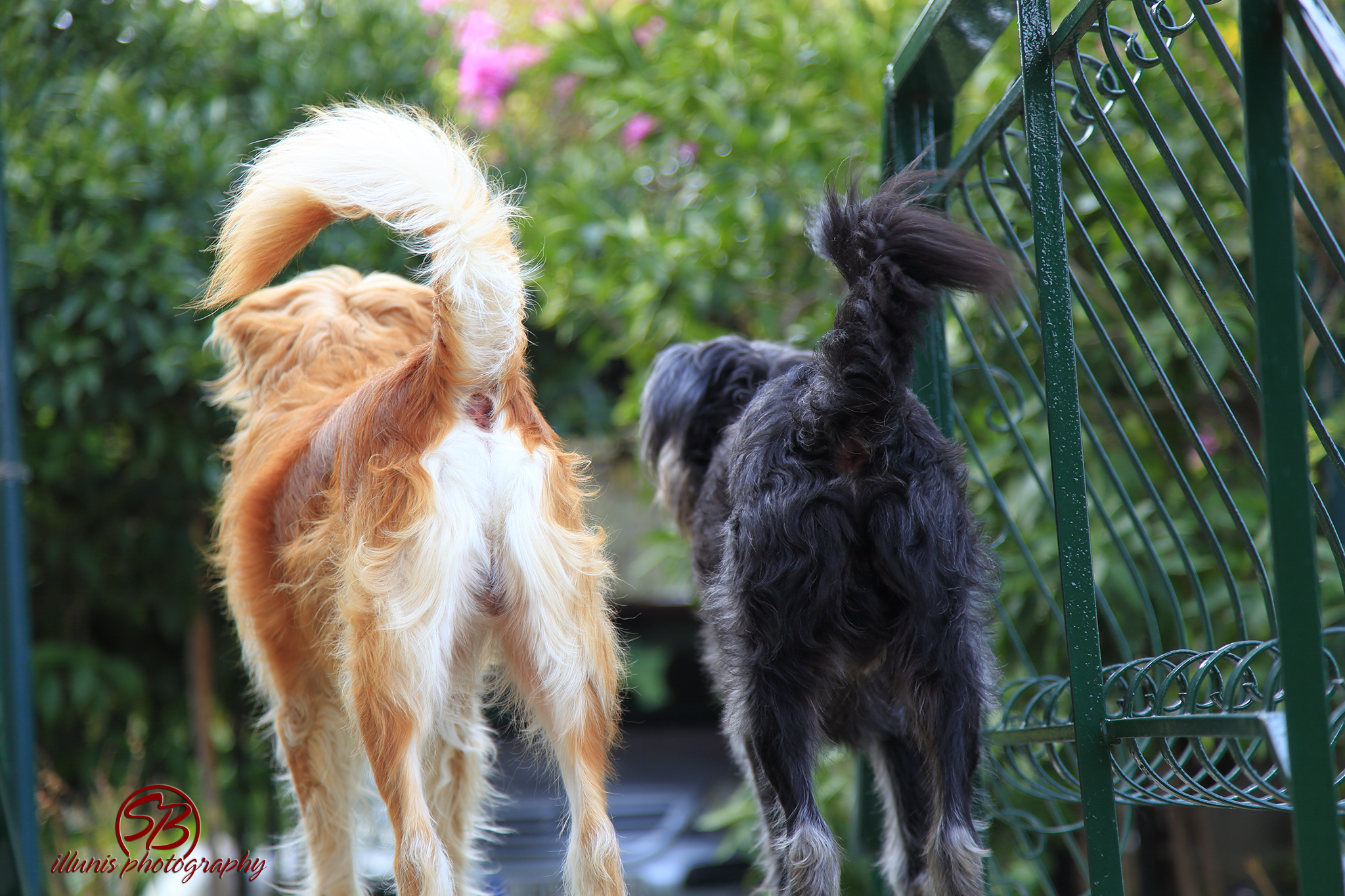 Bums