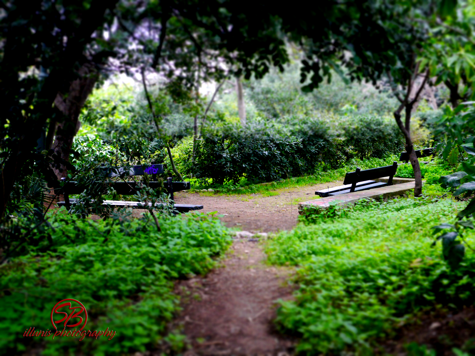 Park