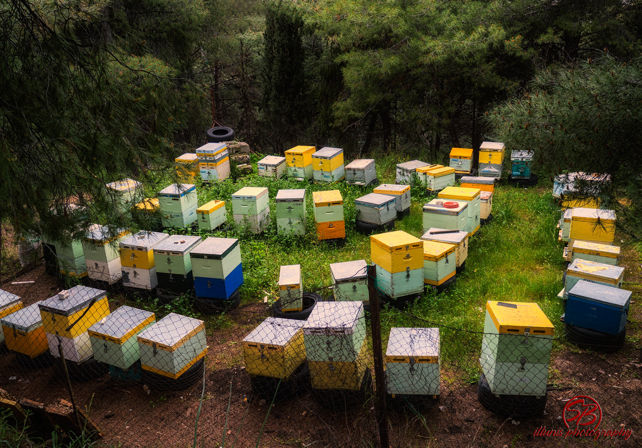 Beehives