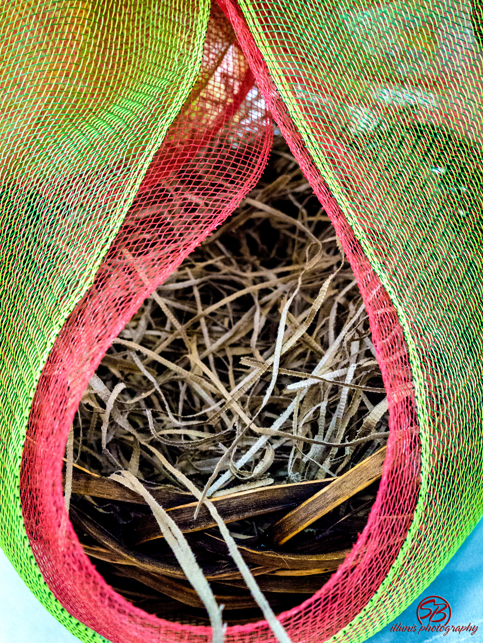 Nest