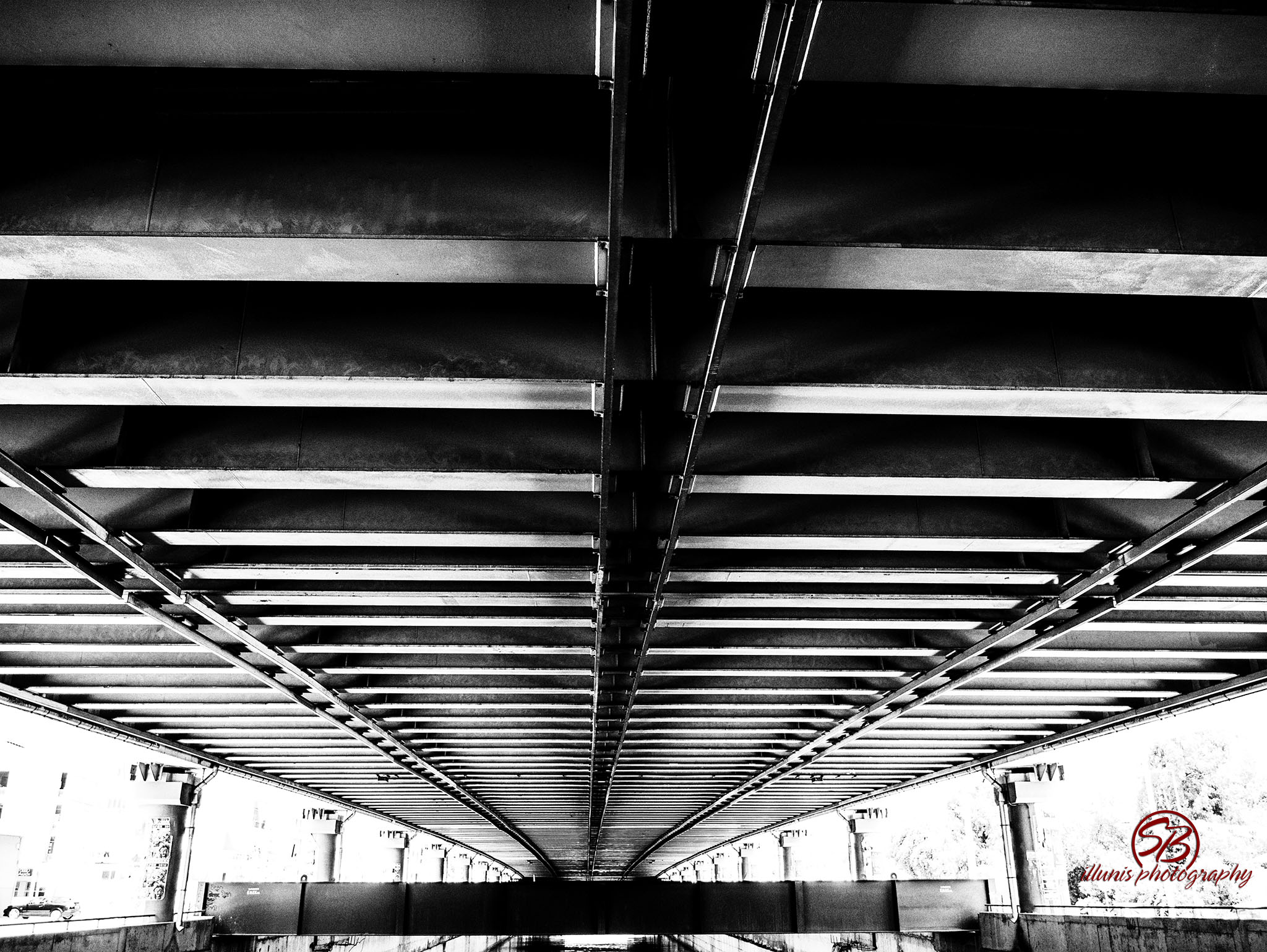 Kif1