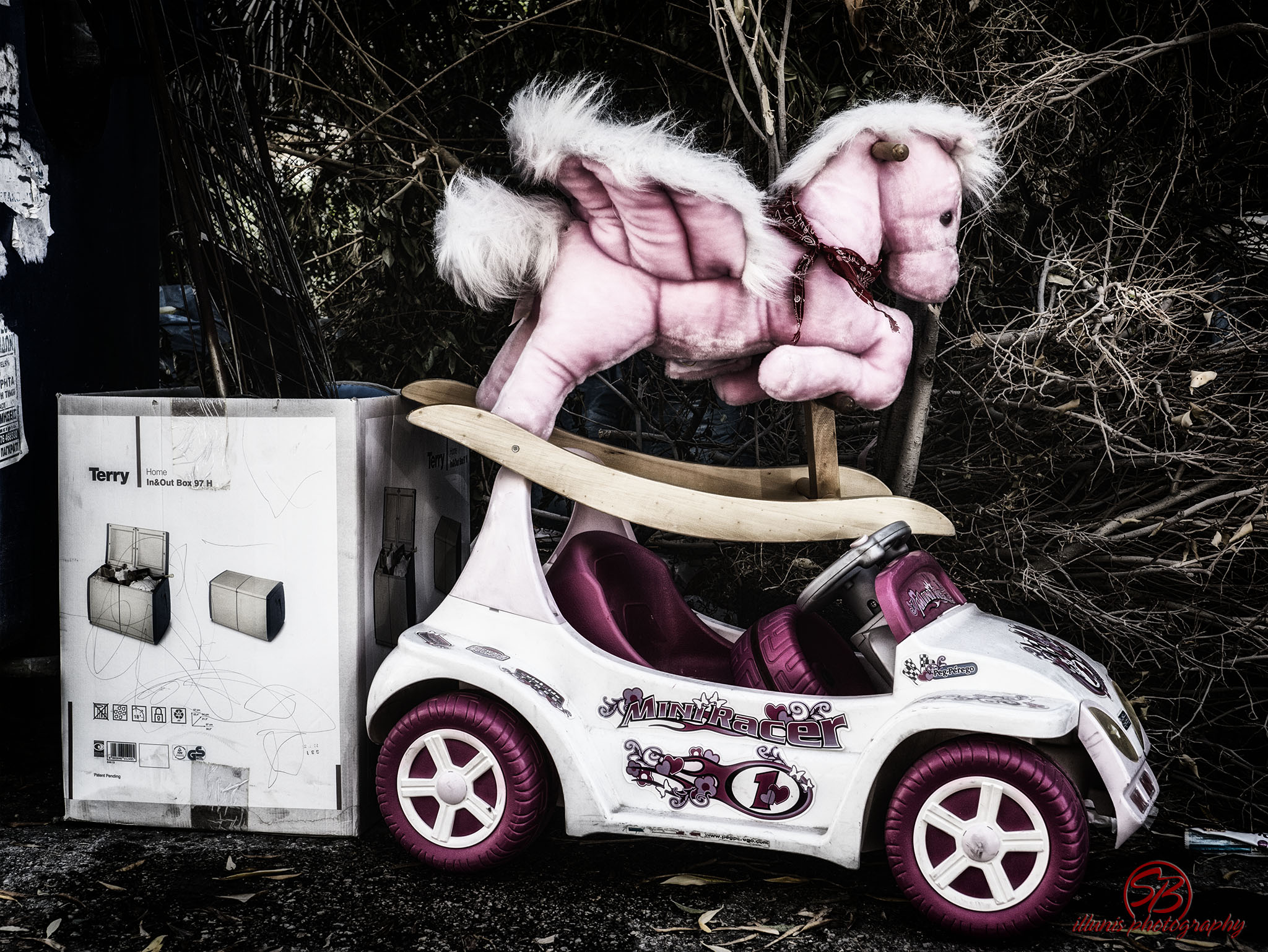 Pony