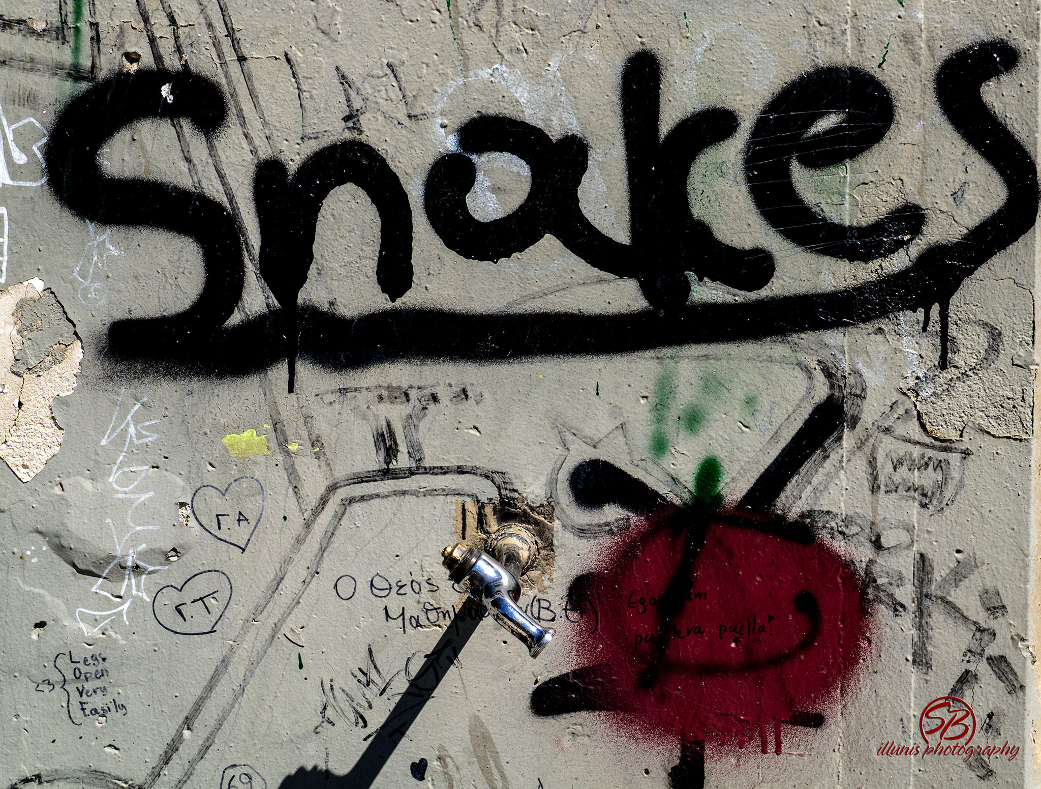 Snakes