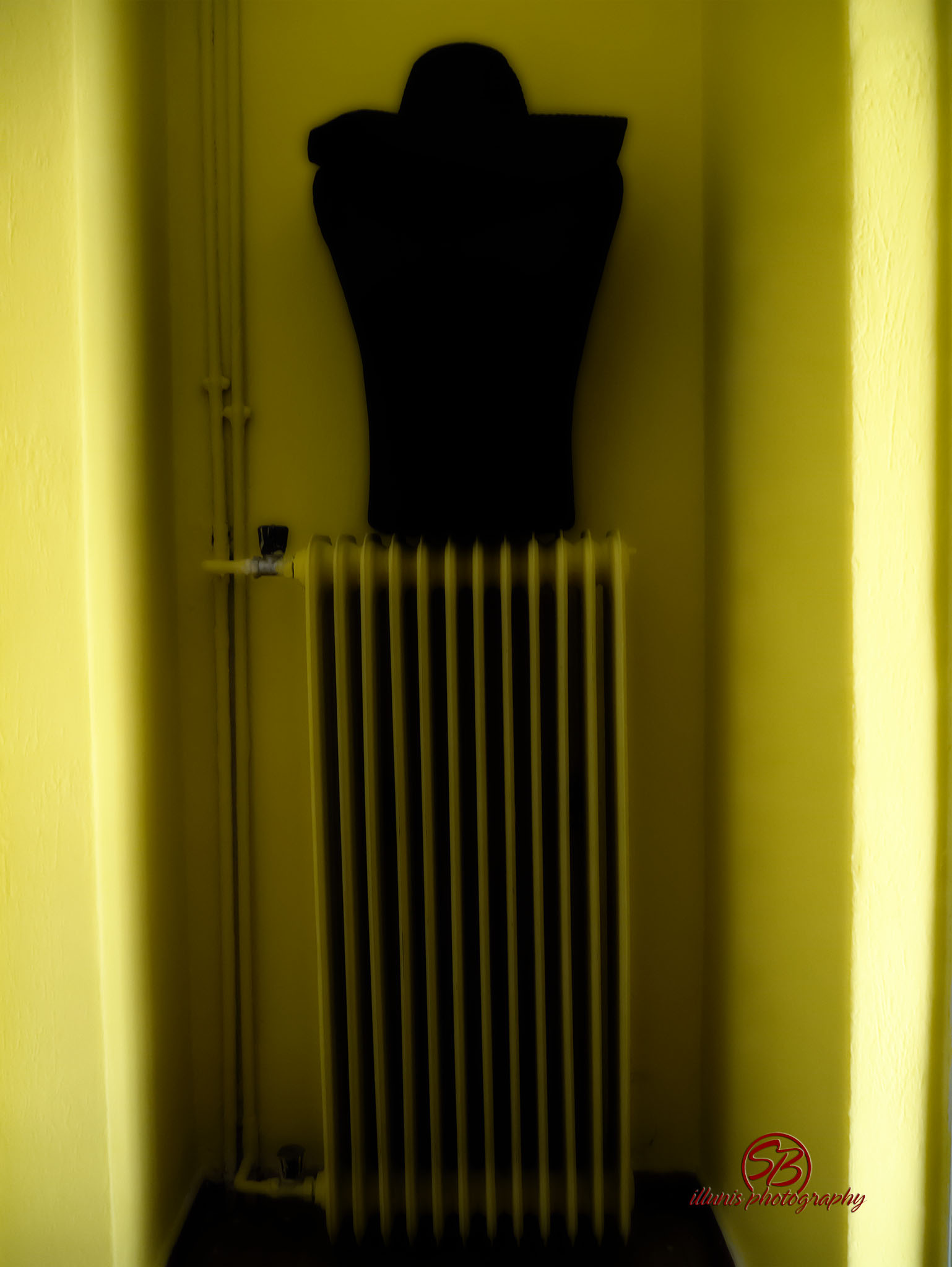 Torso1
