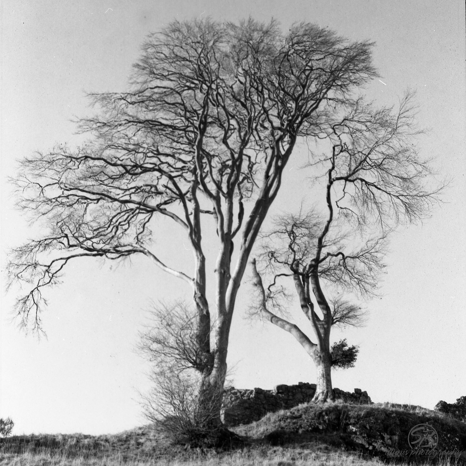 120mm 4 004